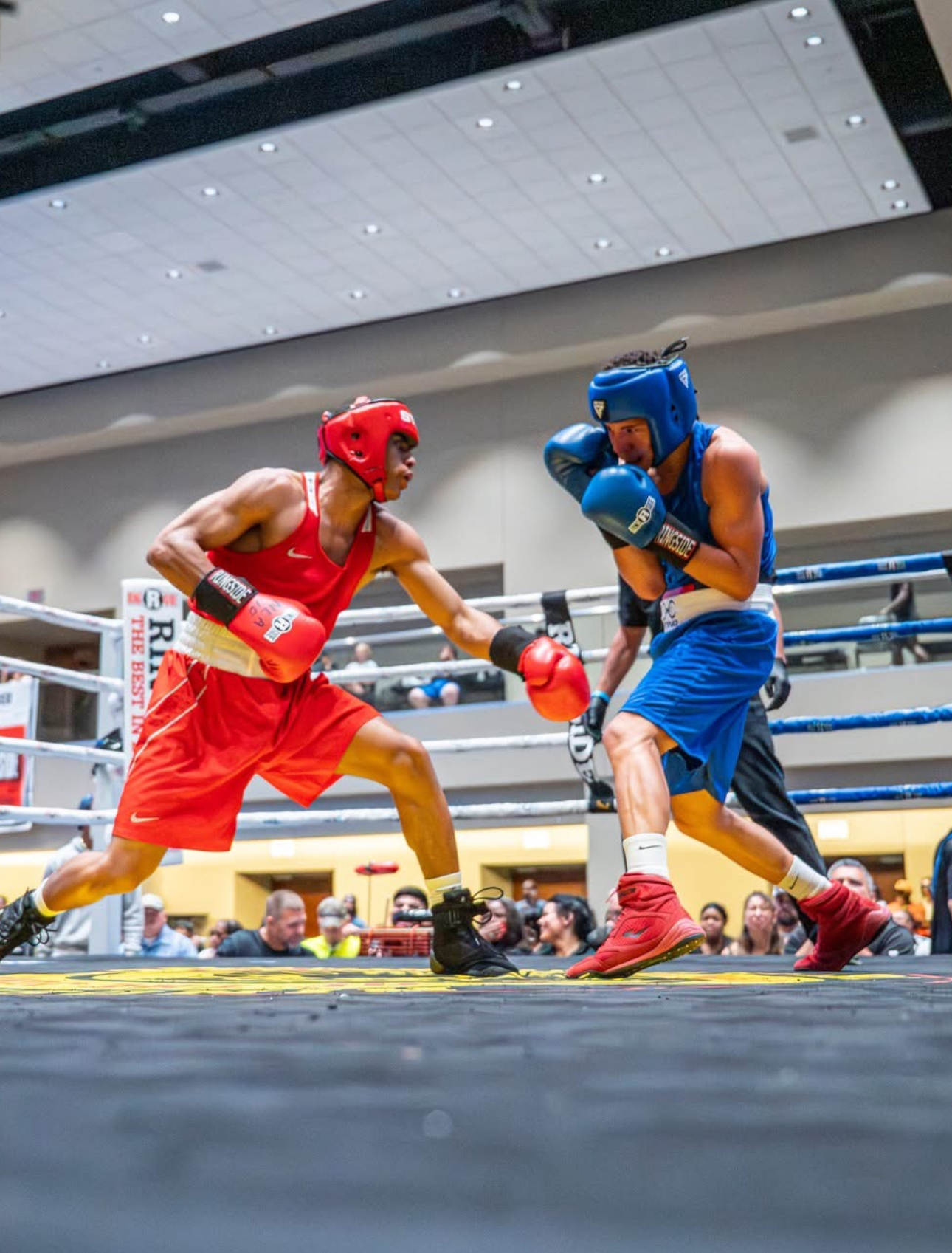 Sparring Sessions